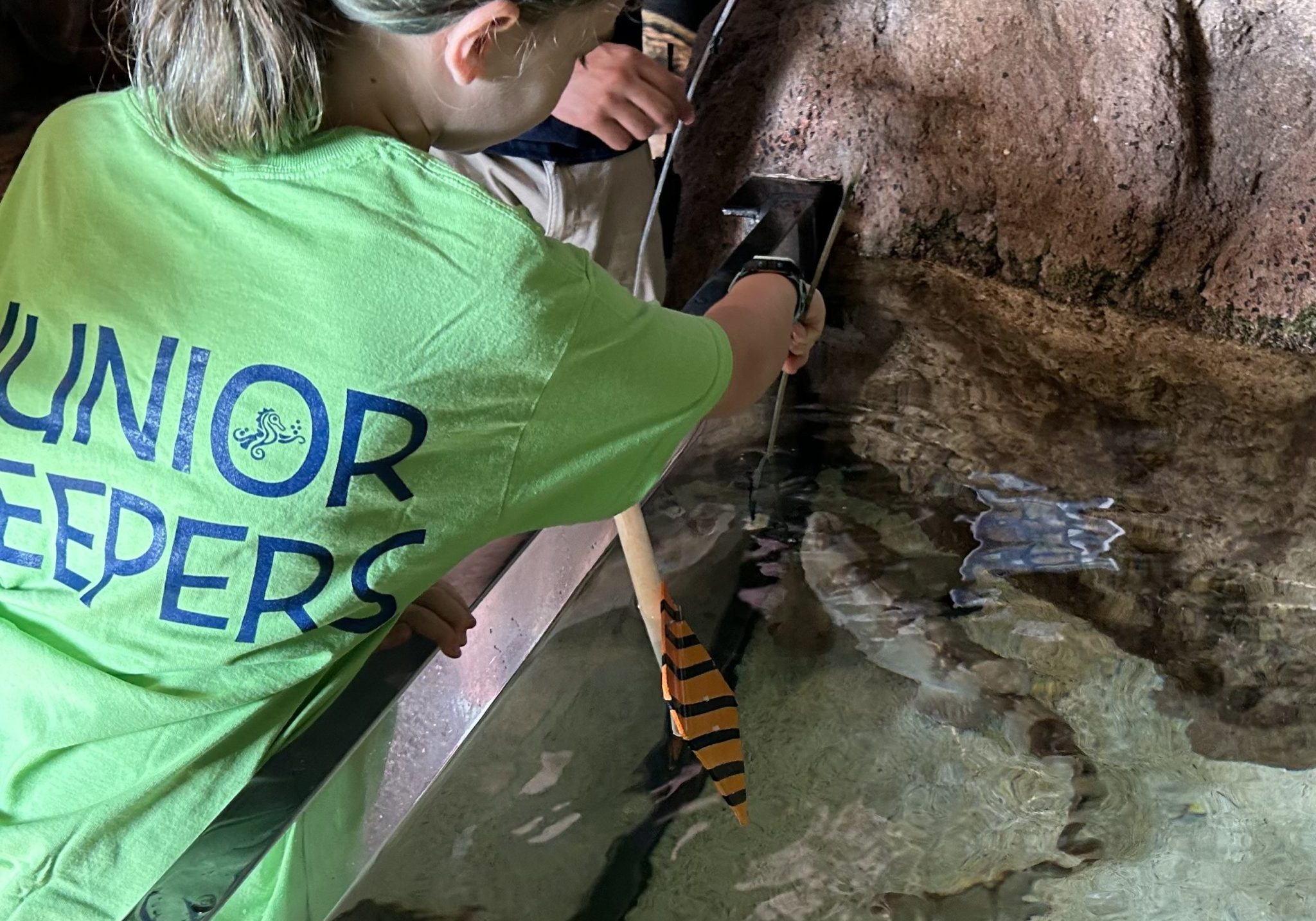 A woman in a green shirt holding a stick in Fish Tank