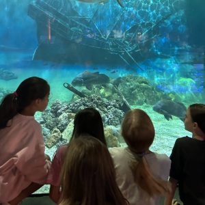 IMG_4852-e1706545661446