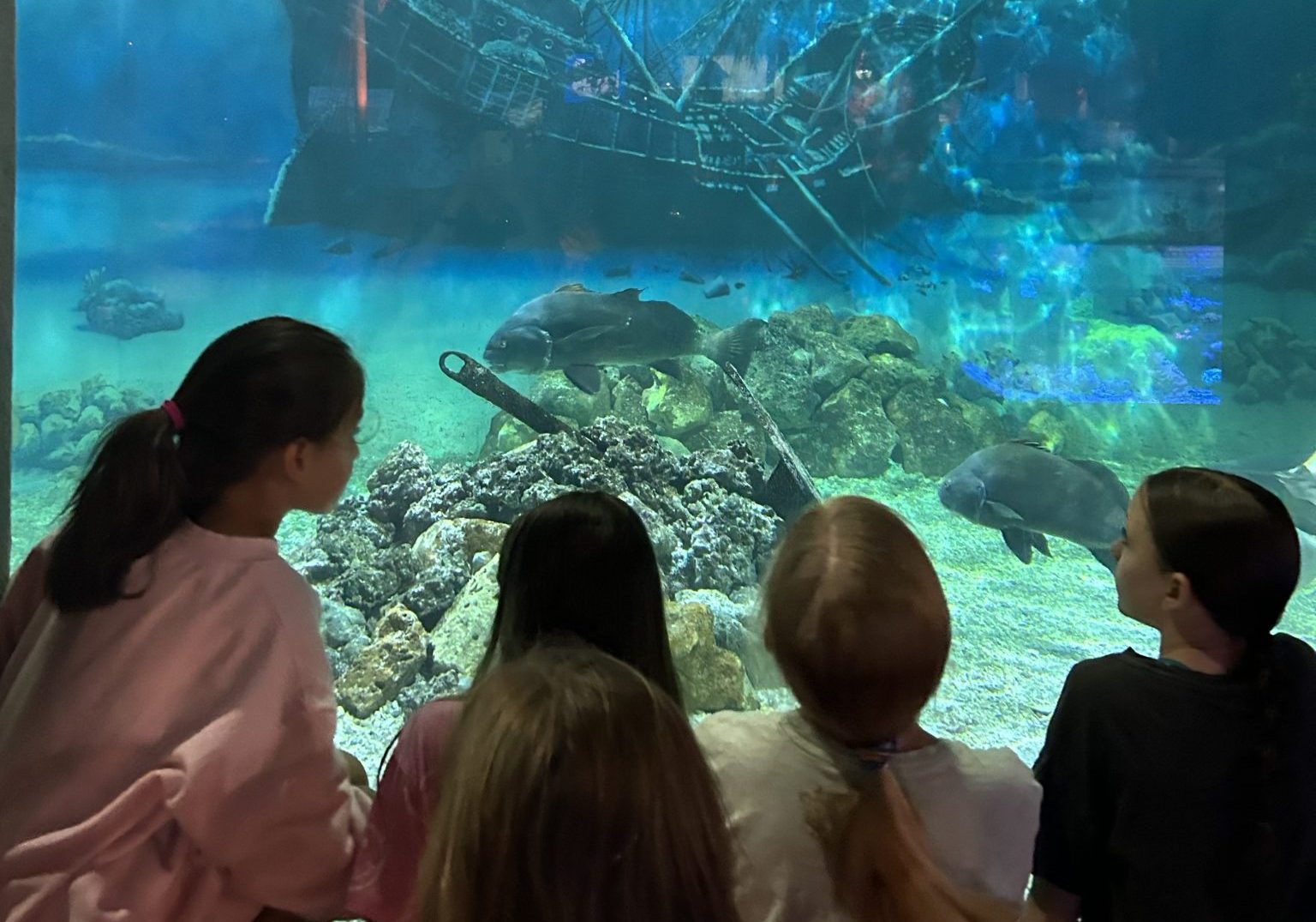 IMG_4852-e1706545661446