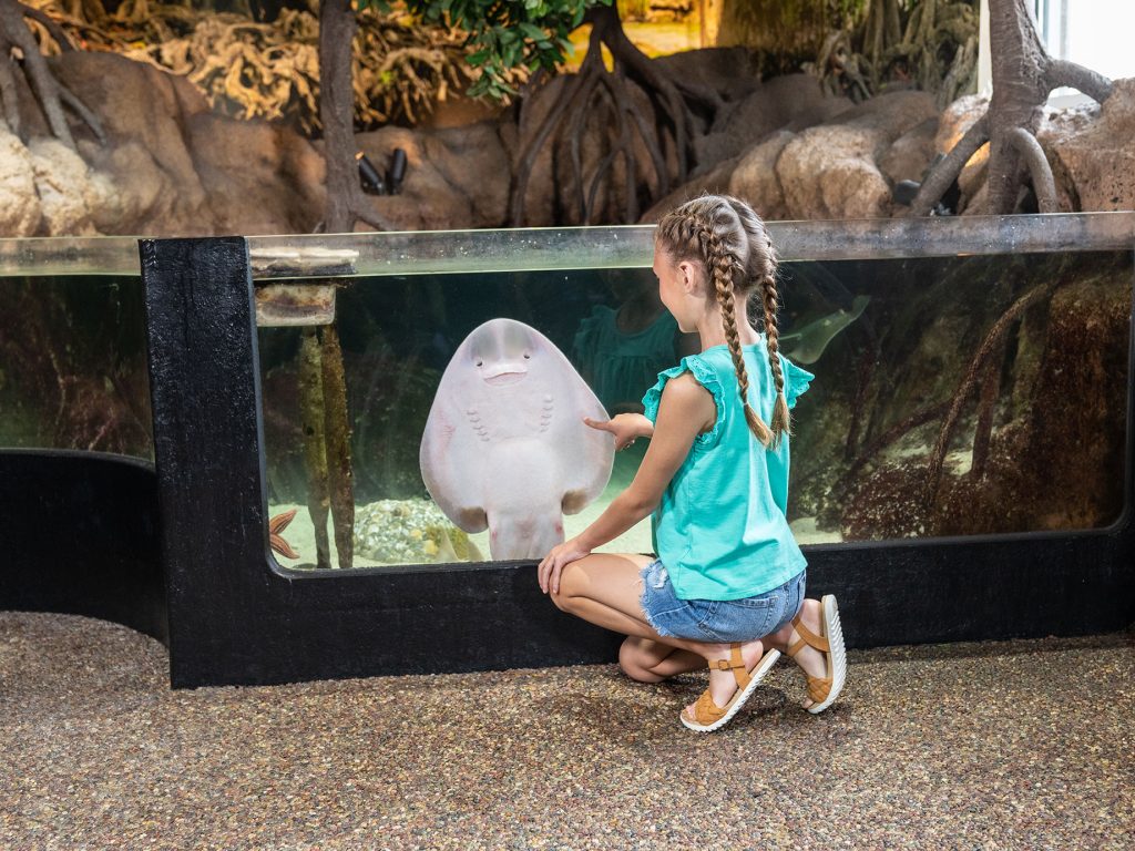 Girl looking at Sting Ray at Jenkinson's Boardwalk